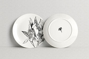 Eucalyptus Illustrations & Extras, an Illustration by Valeryia Aranovich (Thumbnail 5 of 6)