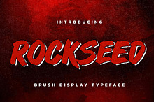 ROCKSEED - Brush Display Typeface