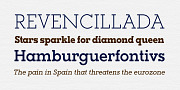 Paralex, a Slab Serif Font by Tipo Pépel (Thumbnail 5 of 8)