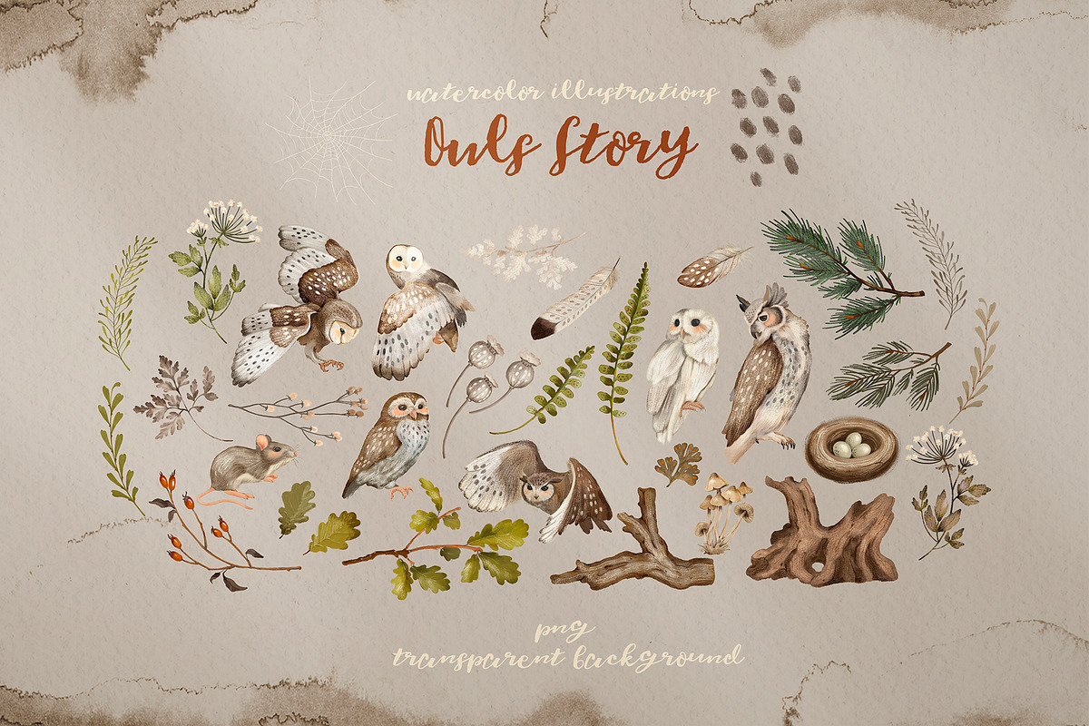 Owls Story watercolor forest clipart, an Animal Illustration by Alamella (Photo 10 of 12)
