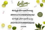 Gillian Font + Extras, a Script Font by Calamar Studio (Thumbnail 2 of 13)