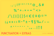 Saxo Grammaticus Font + Extras, a Sans Serif Font by Jonas Stensgaard (Thumbnail 6 of 27)