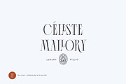 Tall Jules Modern and Stylish Font, a Serif Font by VladCristea (Thumbnail 8 of 14)