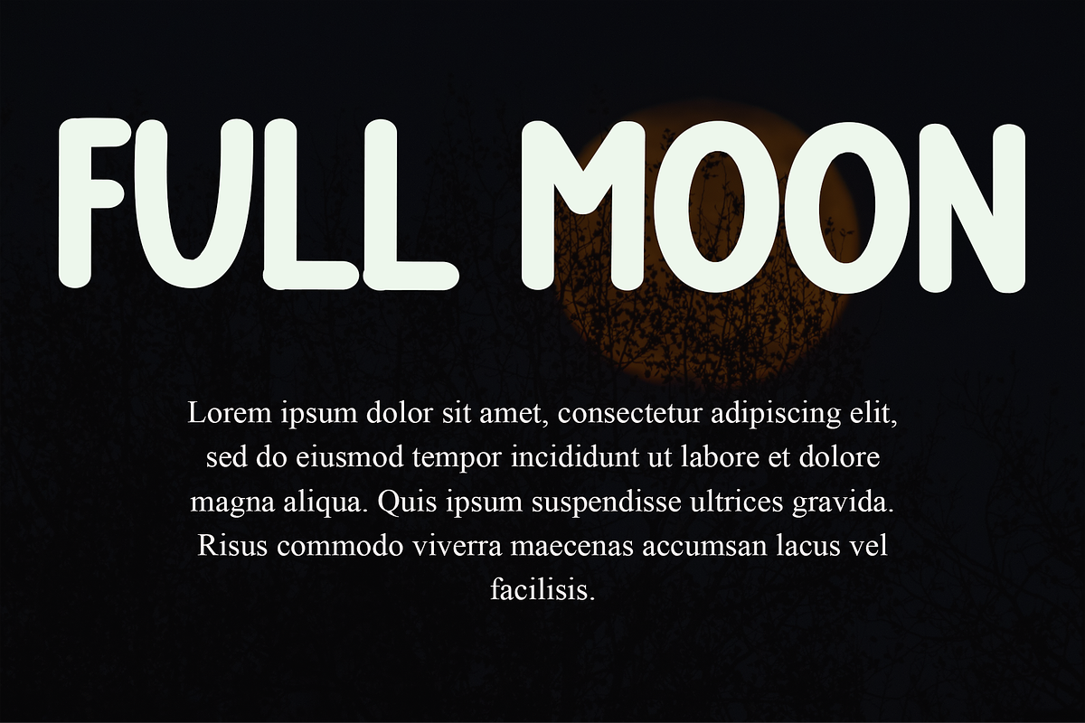 Moonlight, a Serif Font by FreshTypeINK (Photo 4 of 8)