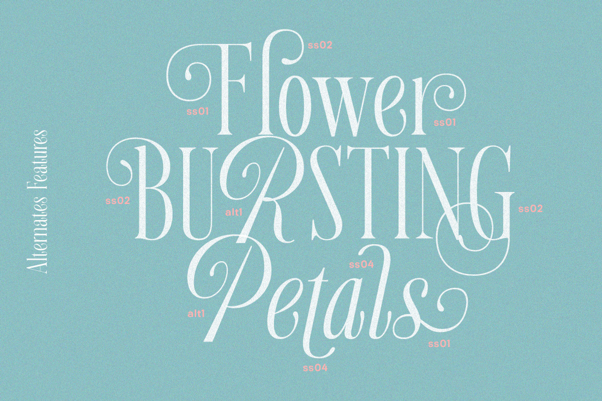 Aurora Moonlight Dreamy Serif, a Serif Font by Letterhend Studio (Photo 6 of 12)
