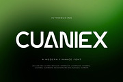 Cuaniex - Modern Finance Font, a Sans Serif Font by trabaskriya (Thumbnail 1 of 10)