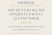 Cherston, a Sans Serif Font by Larin Type Co. (Thumbnail 13 of 15)