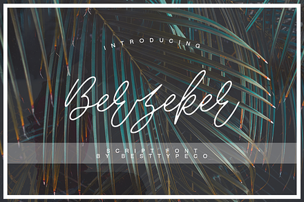 Berzeker, a Script Font by Besttypeco
