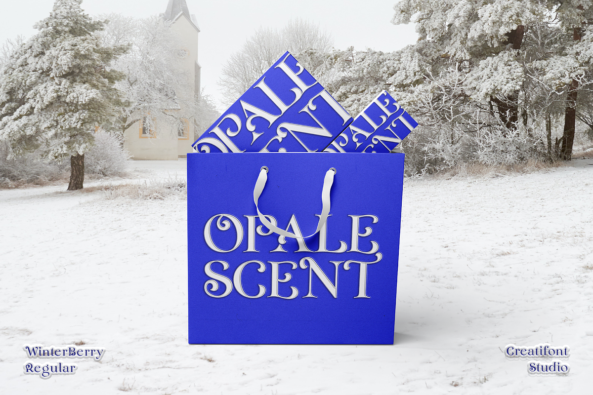 CF Winterberry - Christmas Serif, a Serif Font by Indotype Foundry (Photo 8 of 10)