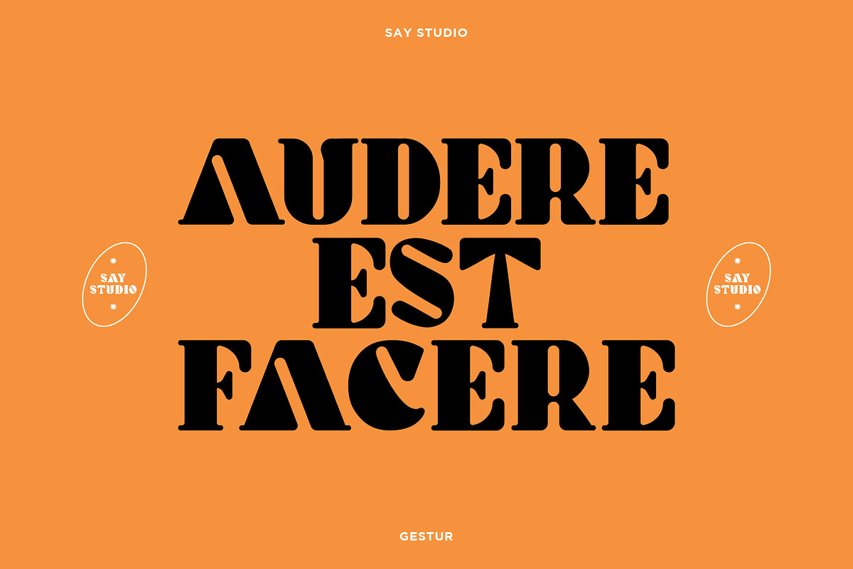 Gestur Display Font, a Sans Serif Font by Say Studio (Photo 8 of 15)