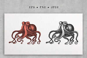 Octopus Vintage Collection