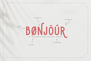Sequoia Sans - Elegant Display Font, a Sans Serif Font by Callie Rian & Co. (Thumbnail 8 of 13)