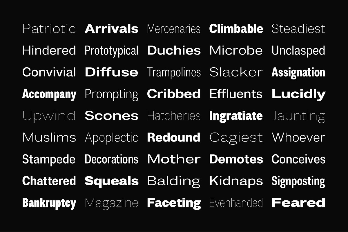 Duga | Neo-Grotesque Type System, a Sans Serif Font by Wahyu & Sani Co. (Photo 10 of 15)