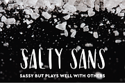 Salty Sans Typeface, a Sans Serif Font by Hewitt Avenue (Thumbnail 1 of 4)