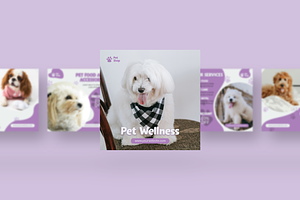 PetShope - Instagram Post Template