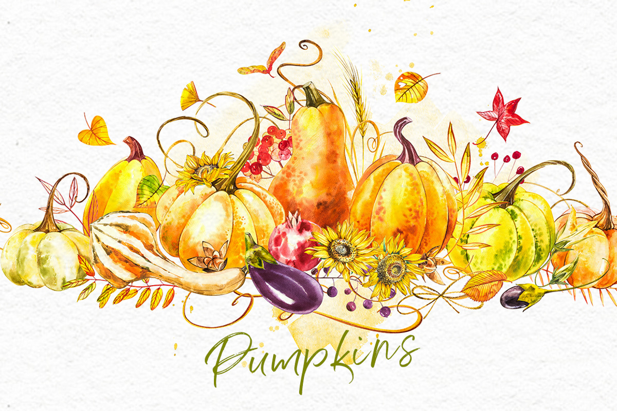 Pumpkins watercolor collection, a Food Illustration by Ann Astro (Photo 2 of 17)