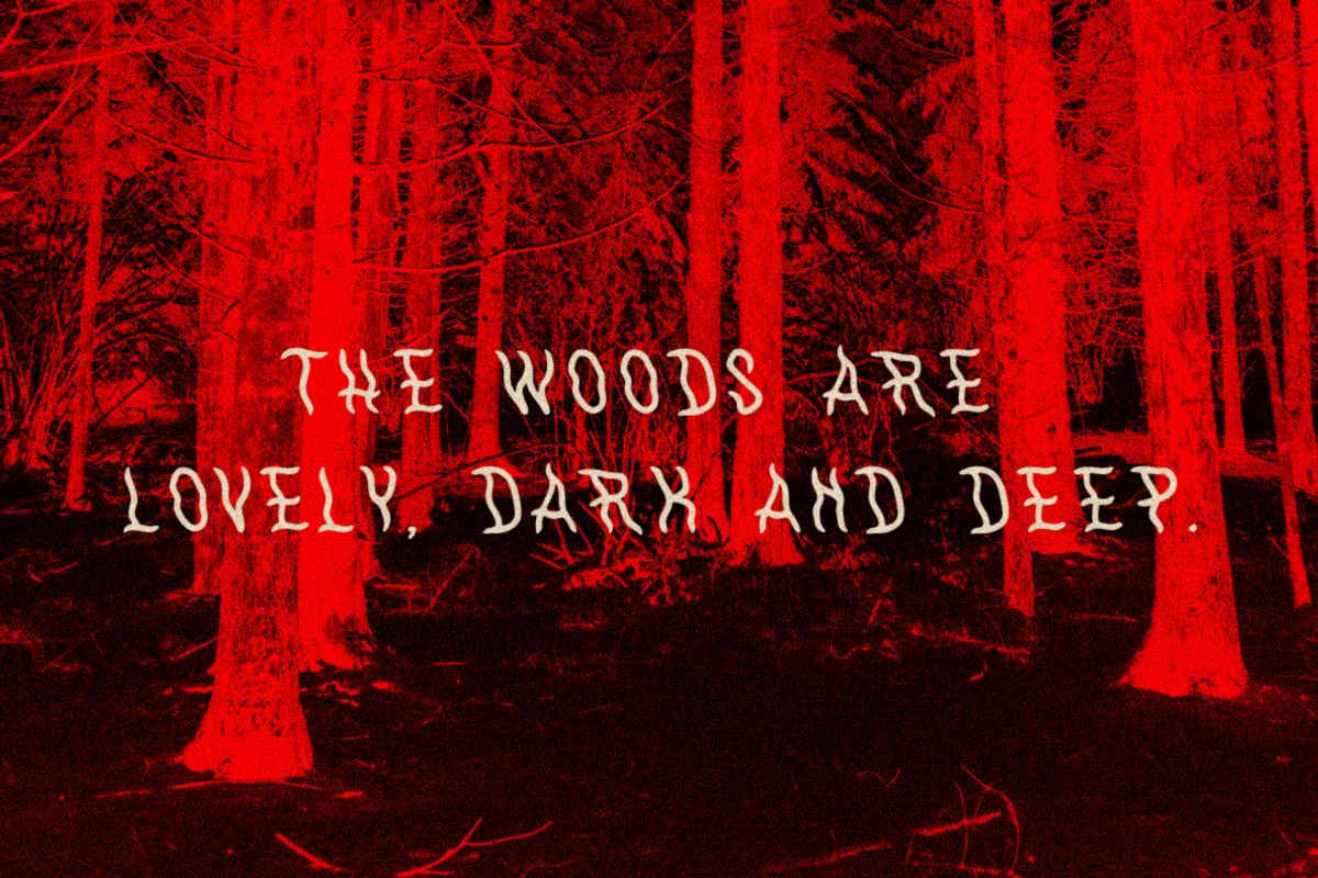 WithAnimals Font, a Handwritten Font by Towards The North (Photo 7 of 8)
