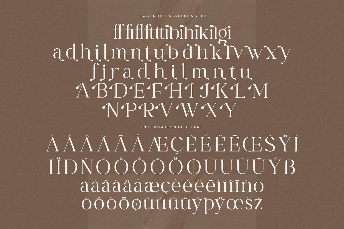 Begifta New Modern Serif Font, a Serif Font by Letterena Studios (Photo 14 of 15)