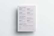 Business Plan | MS Word & Indesign, a Stationery Template by design_hut (Thumbnail 5 of 7)