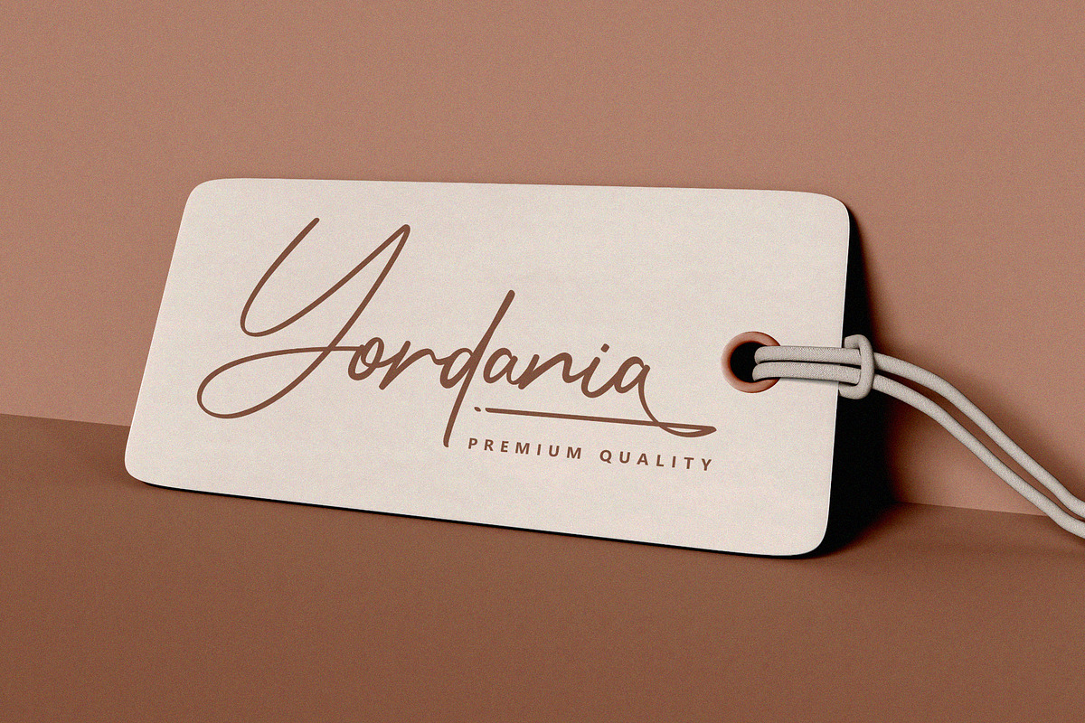 Geraldyne Signature, a Script Font by Sealoung (Photo 13 of 18)