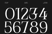 CS Frode – Modern Serif Font, a Serif Font by Craft Supply Co. (Thumbnail 6 of 8)