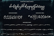 Mustang Brush Font, a Script Font by Cruzine (Thumbnail 4 of 9)