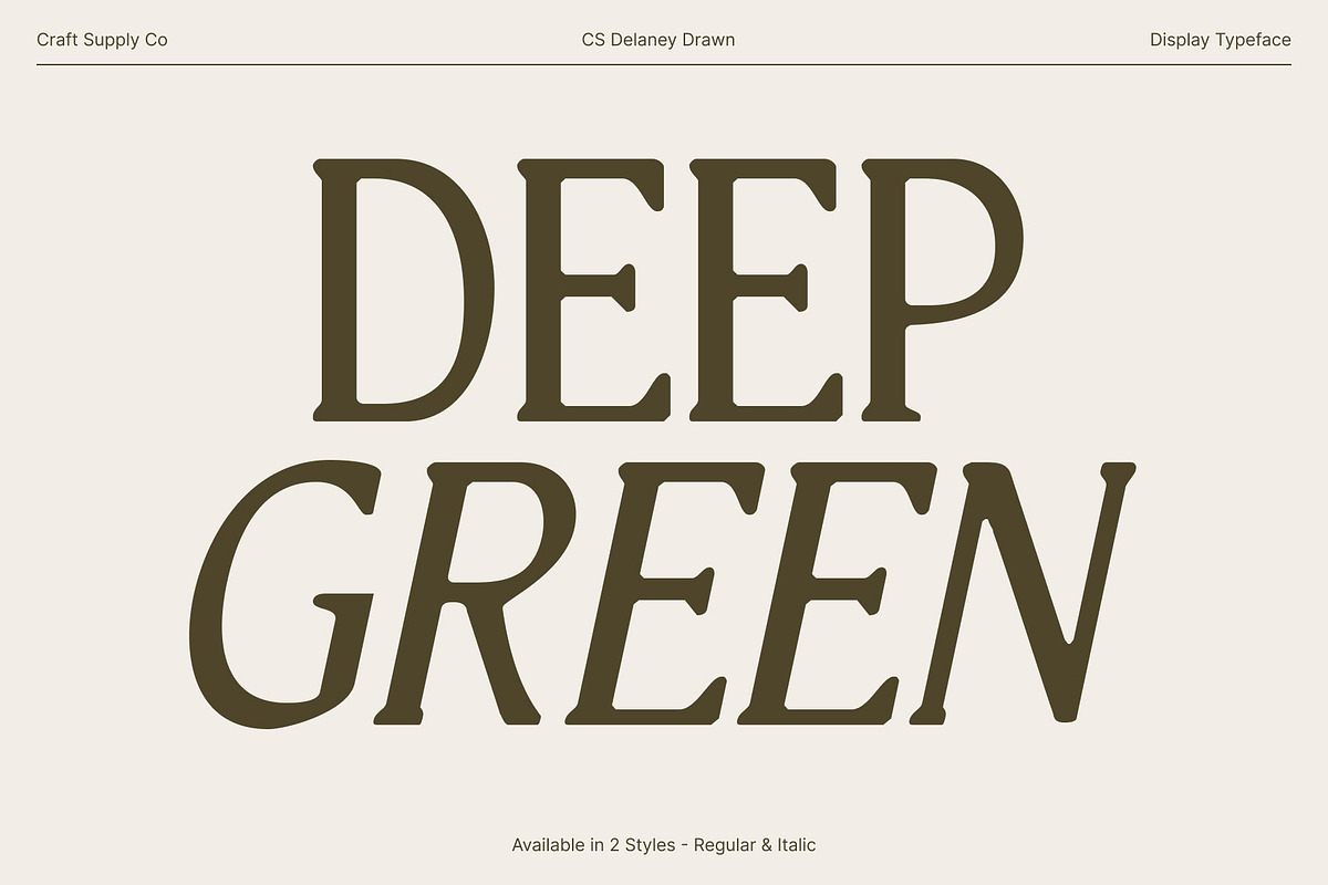 CS Quinzel Drawn, a Serif Font by Craft Supply Co. (Photo 3 of 8)