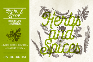 Herbs And Spices Illustrations