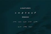 Laquentta Morelly, a Handwritten Font by Integritype Studio (Thumbnail 11 of 15)