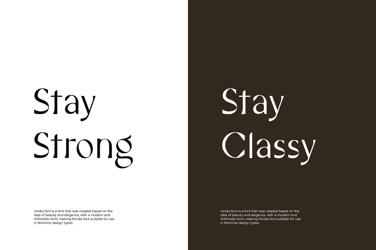 Nindia Font, a Serif Font by Phoenix Dungeon (Photo 3 of 9)