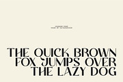 Charine - Modern Sans Serif Font, a Sans Serif Font by suhadidesign (Thumbnail 2 of 10)