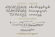 Antique Garden | A Unique Font Duo, a Script Font by Colllab Studio (Thumbnail 7 of 18)