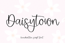 Daisytown | Modern Script Font