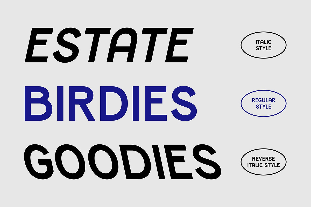 CS Nestor – Contemporary Font, a Sans Serif Font by Craft Supply Co. (Photo 2 of 8)