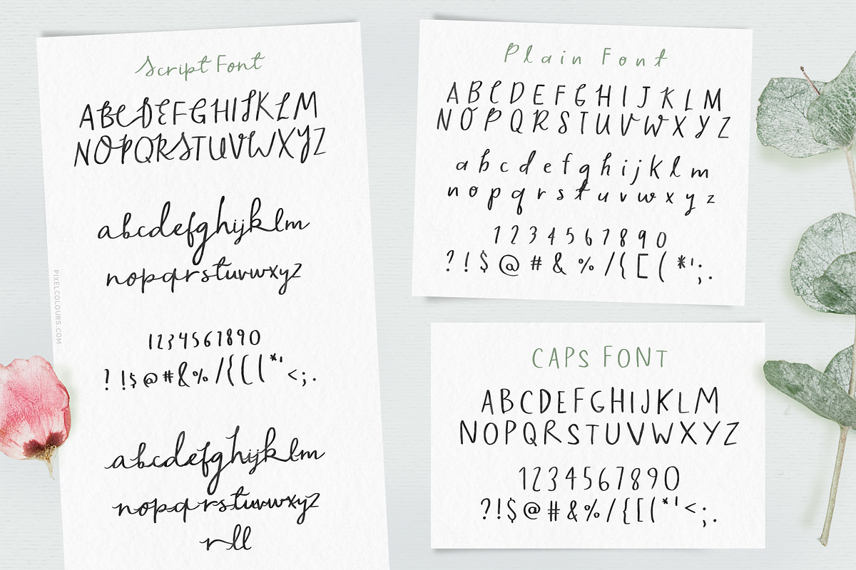 Script Font and Logos - Sage & Pink, a Script Font by pixelcolours (Photo 10 of 17)