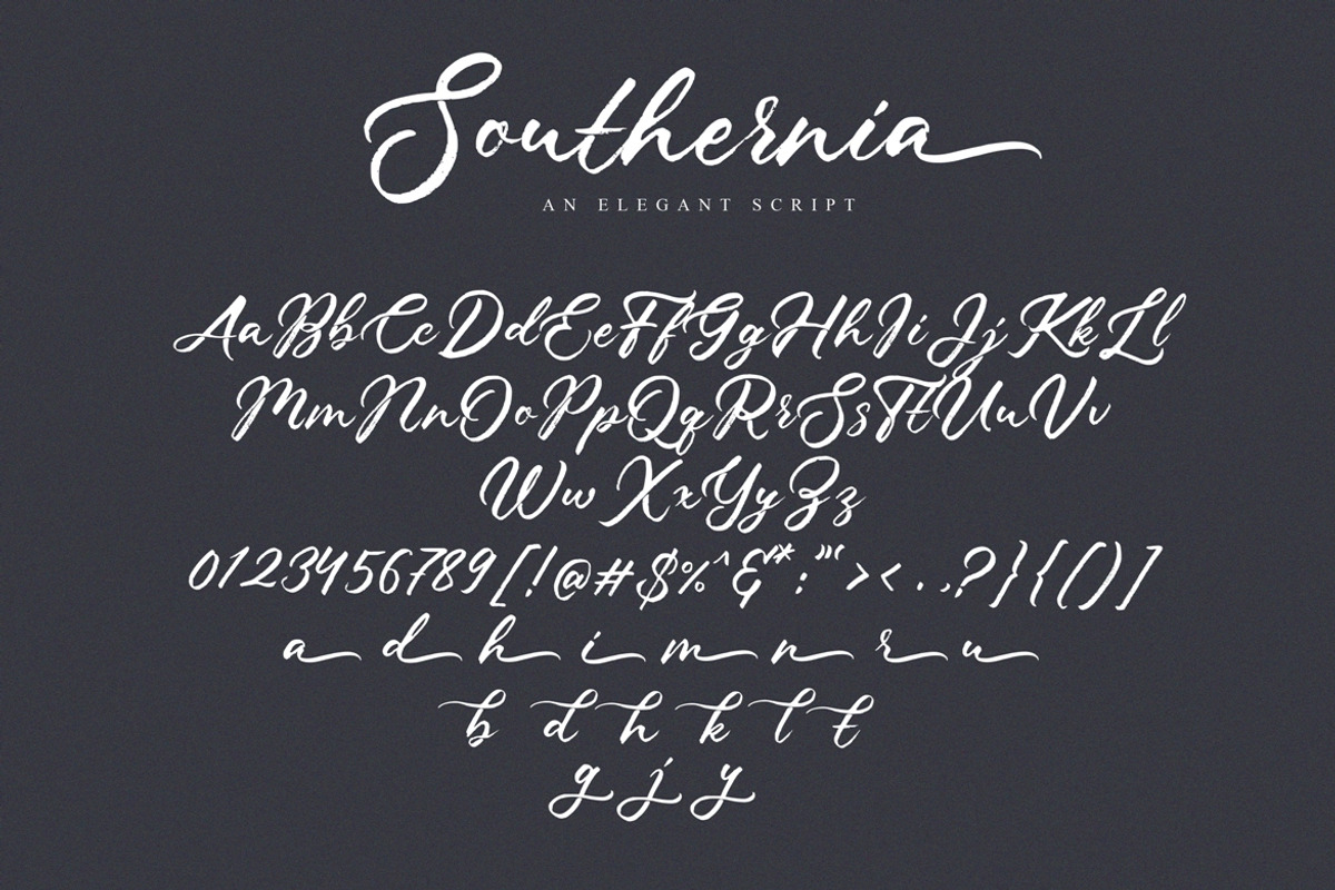 Southernia, a Script Font by Debut Studio (Photo 8 of 8)