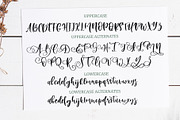 Beauty Youth. Lovely Script, a Script Font by CallMeStasia (Thumbnail 2 of 21)