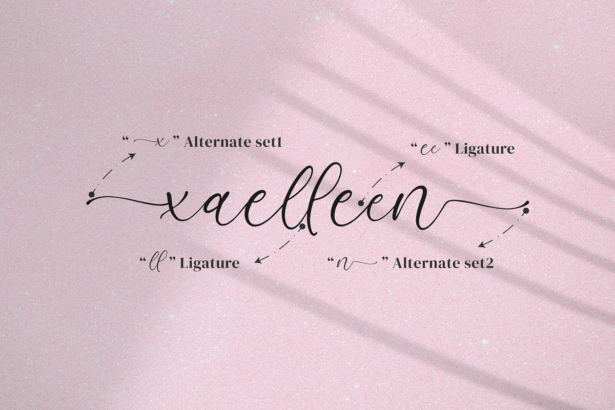 Azelly Vellyne, a Script Font by Integritype Studio (Photo 14 of 15)