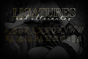 Waymar Outline, a Serif Font by NREY (Thumbnail 7 of 9)