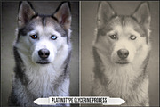 Platinum Palladium Prints LUTs, a Plug-in Add-On by Raztrend (Thumbnail 20 of 32)