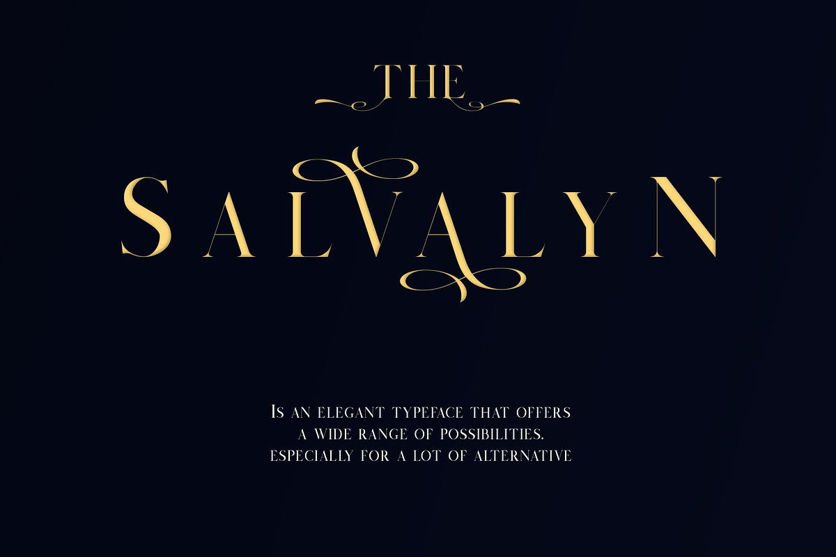 Salvalyn - Stylistic Serif Font preview 4