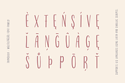 Tranquila Handwritten Font Family, a Script Font by alpercakici (Thumbnail 8 of 15)