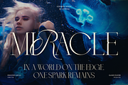 BlueMoon - Luxury Font, a Serif Font by Umitype (Thumbnail 6 of 10)