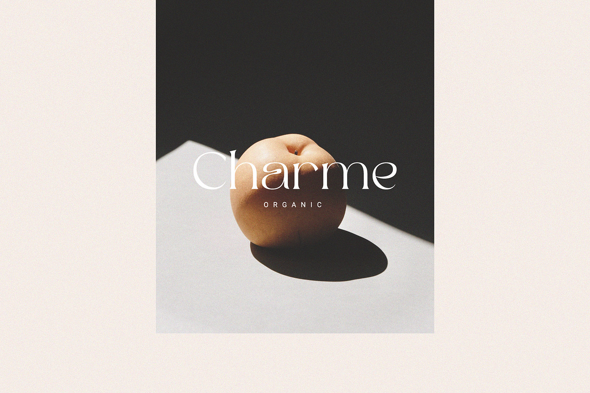 Maigre - Modern Serif, a Serif Font by Prioritype Co (Photo 2 of 15)