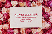 Garden Song serif font and extras, a Serif Font by Ana's Fonts (Thumbnail 6 of 12)