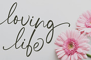 Handwriting Font and Botanicals, a Script Font by pixelcolours (Thumbnail 6 of 10)
