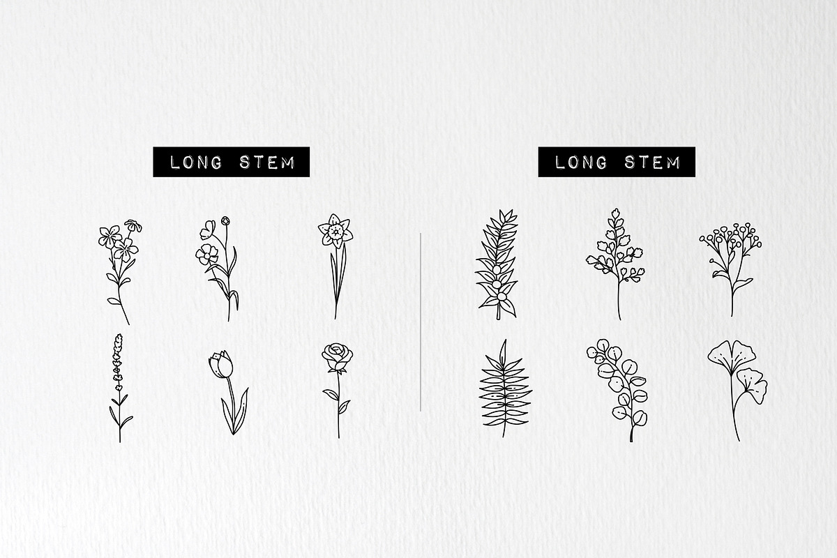 60 Plant & Floral Icons - Flower, an Outline Icon by Hatch Design Workshop (Photo 6 of 11)