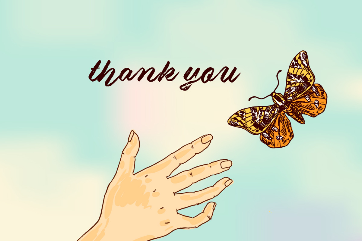 Butterflies and flowers, an Animal Illustration by Steshnikova (Photo 5 of 5)