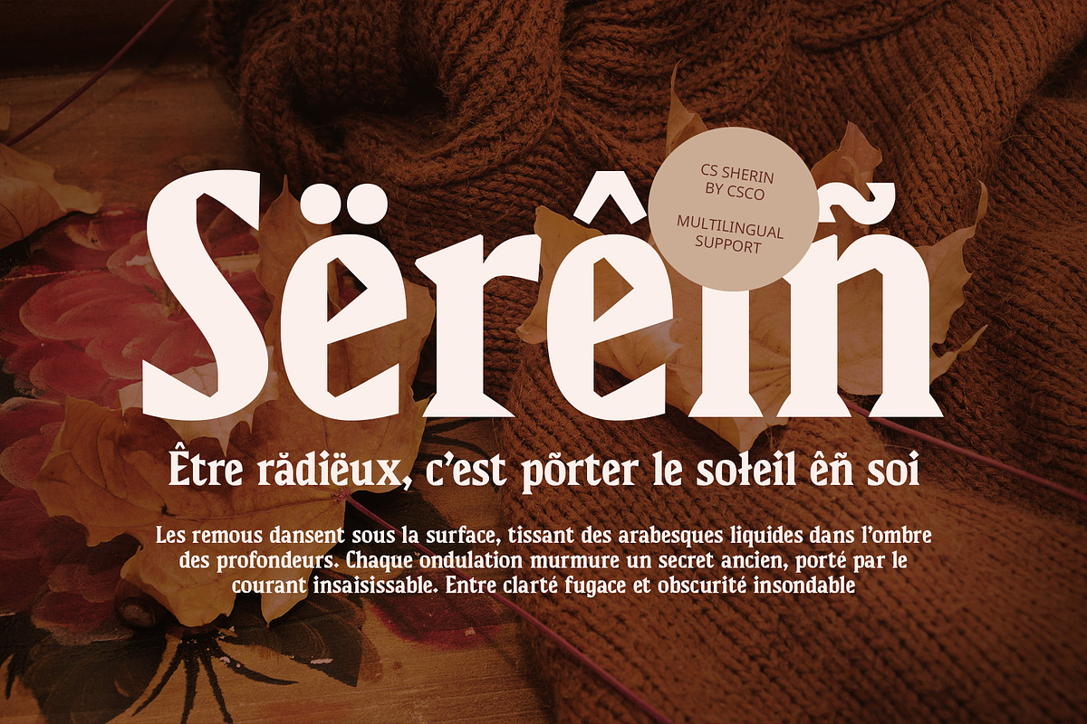 CS Sherin – Bold Font, a Serif Font by Craft Supply Co. (Photo 7 of 8)