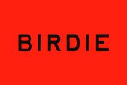 Birdie | Vintage Print Font, a Handwritten Font by Taylor Penton (Thumbnail 1 of 6)
